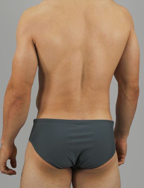 Sunga tradicional gris